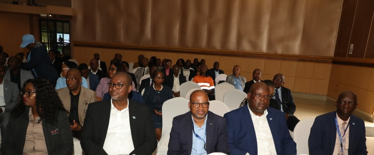 Local Authorities were today called upon to work with government