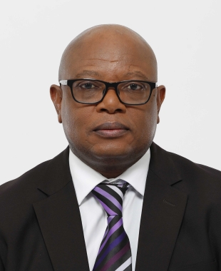 Hon. Wynter Boipuso Mmolotsi